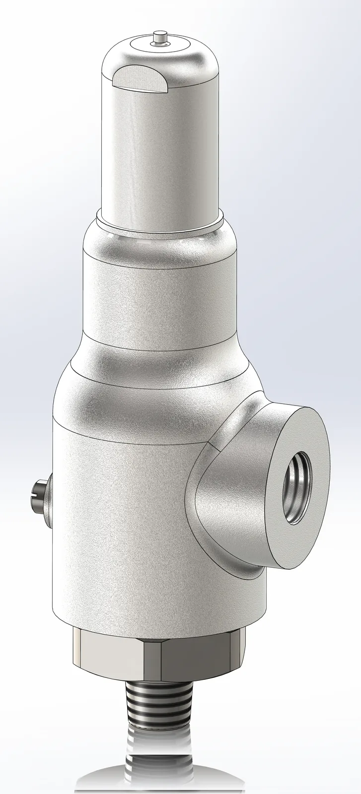 3D rendering of a small-orifice relief valve with a male threaded inlet and a female threaded outlet
